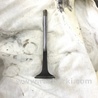 Клапан выпускной Audi (Ауди) A3 8V1, 8VA, 8V7, 8VS (03.2012-...)