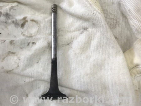 ФОТО Клапан выпускной для Audi (Ауди) A3 8V1, 8VA, 8V7, 8VS (03.2012-...) Киев