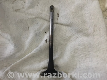 ФОТО Клапан выпускной для Audi (Ауди) A3 8V1, 8VA, 8V7, 8VS (03.2012-...) Киев