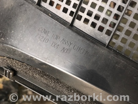 ФОТО Решетка под лобовое стекло для Acura RDX TB4 USA (04.2015-...) Киев