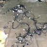 Проводка салона Infiniti QX50