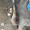ФОТО Рычаг подвески для Audi (Ауди) A3 8V1, 8VA, 8V7, 8VS (03.2012-...) Киев