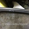 ФОТО Уплотнитель стекла двери для Audi (Ауди) A3 8V1, 8VA, 8V7, 8VS (03.2012-...) Киев