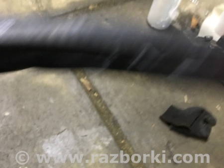 ФОТО Уплотнительная резинка для Audi (Ауди) A4 B8 - 8K2, 8K5 (08.2007-11.2015) Киев