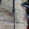 Амортизатор капота Audi (Ауди) A3 8V1, 8VA, 8V7, 8VS (03.2012-...)