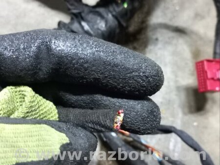 ФОТО Электропроводка для Audi (Ауди) A3 8V1, 8VA, 8V7, 8VS (03.2012-...) Киев