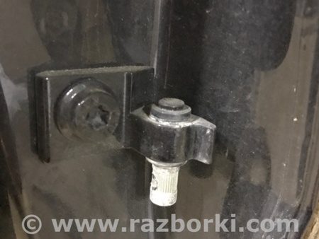 ФОТО Петля двери для Audi (Ауди) A3 8V1, 8VA, 8V7, 8VS (03.2012-...) Киев