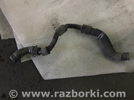 ФОТО Патрубок системы охлаждения для Audi (Ауди) A3 8V1, 8VA, 8V7, 8VS (03.2012-...) Киев