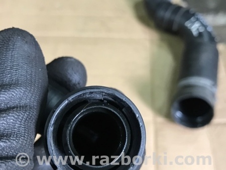 ФОТО Патрубок системы охлаждения для Audi (Ауди) A3 8V1, 8VA, 8V7, 8VS (03.2012-...) Киев
