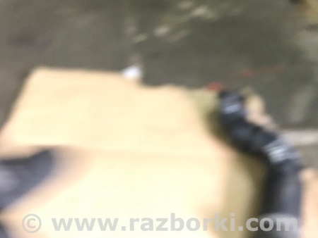 ФОТО Патрубок системы охлаждения для Audi (Ауди) A3 8V1, 8VA, 8V7, 8VS (03.2012-...) Киев