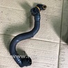ФОТО Патрубок системы охлаждения для Audi (Ауди) A3 8V1, 8VA, 8V7, 8VS (03.2012-...) Киев