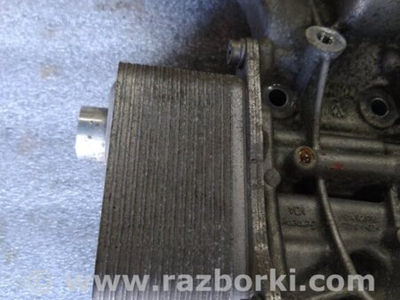 ФОТО Радиатор масляный для Audi (Ауди) A3 8V1, 8VA, 8V7, 8VS (03.2012-...) Киев