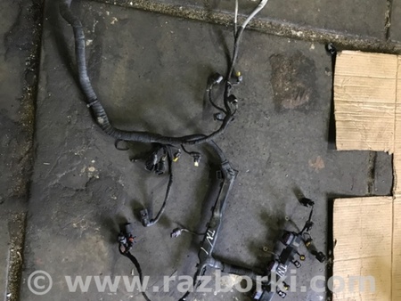 ФОТО Электропроводка для Audi (Ауди) A3 8V1, 8VA, 8V7, 8VS (03.2012-...) Киев