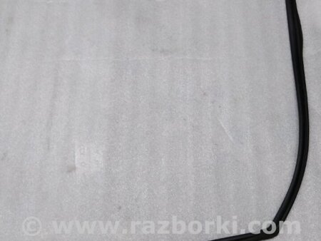 ФОТО Уплотнитель стекла двери для Acura RDX TB4 USA (04.2015-...) Киев