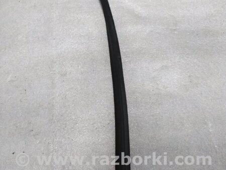 ФОТО Уплотнитель стекла двери для Acura RDX TB4 USA (04.2015-...) Киев