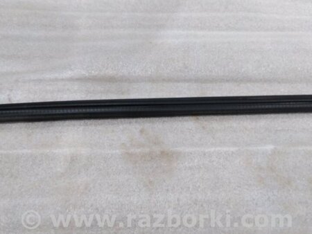 ФОТО Уплотнитель стекла двери для Audi (Ауди) A4 B8 - 8K2, 8K5 (08.2007-11.2015) Киев