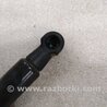 ФОТО Амортизатор капота для Audi (Ауди) A4 B8 - 8K2, 8K5 (08.2007-11.2015) Киев