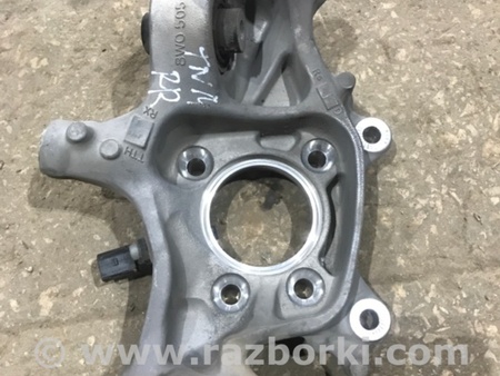 ФОТО Цапфа для Audi (Ауди) A4 B8 - 8K2, 8K5 (08.2007-11.2015) Киев
