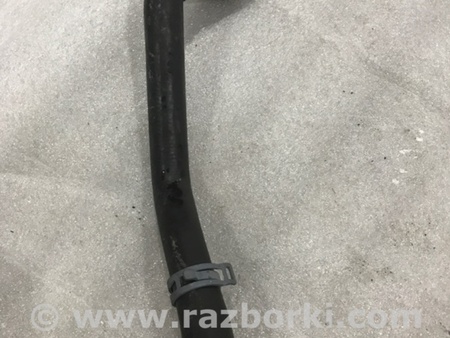 ФОТО Патрубок системы охлаждения для Audi (Ауди) A4 B8 - 8K2, 8K5 (08.2007-11.2015) Киев