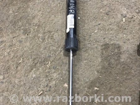 ФОТО Амортизатор подвески для Audi (Ауди) A4 B8 - 8K2, 8K5 (08.2007-11.2015) Киев