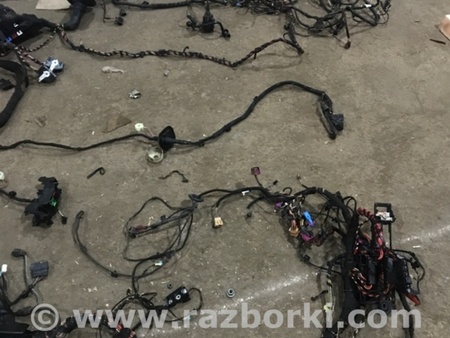 ФОТО Электропроводка для Audi (Ауди) A4 B8 - 8K2, 8K5 (08.2007-11.2015) Киев