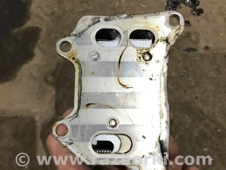 ФОТО Радиатор масляный для Audi (Ауди) A4 B8 - 8K2, 8K5 (08.2007-11.2015) Киев