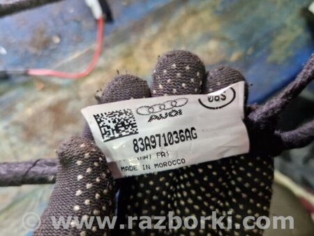 ФОТО Проводка двери для Audi (Ауди) Q3 II (07.2018-...) Киев
