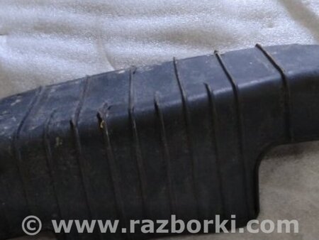 ФОТО Защитный кожух для Audi (Ауди) A4 B8 - 8K2, 8K5 (08.2007-11.2015) Киев