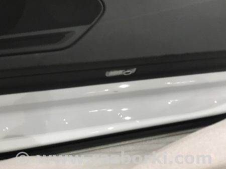 ФОТО Плафон подсветки салона для Audi (Ауди) A4 B8 - 8K2, 8K5 (08.2007-11.2015) Киев