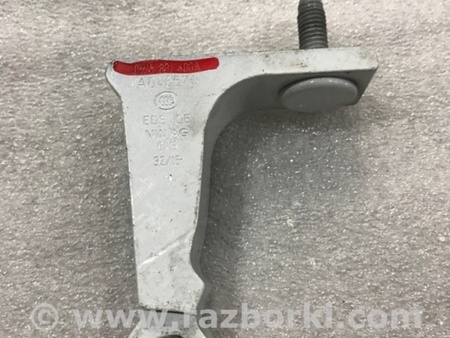 ФОТО Петля двери для Audi (Ауди) A4 B8 - 8K2, 8K5 (08.2007-11.2015) Киев