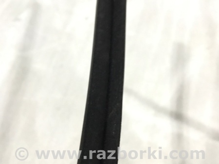 ФОТО Уплотнитель стекла двери для Audi (Ауди) A4 B8 - 8K2, 8K5 (08.2007-11.2015) Киев