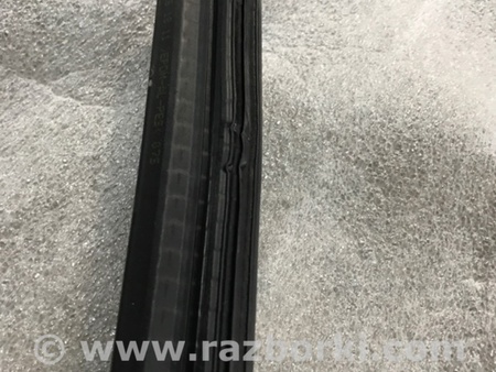ФОТО Уплотнитель стекла двери для Audi (Ауди) A4 B8 - 8K2, 8K5 (08.2007-11.2015) Киев