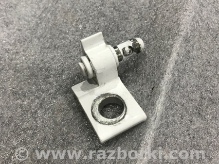 ФОТО Петля двери для Audi (Ауди) A3 8V1, 8VA, 8V7, 8VS (03.2012-...) Киев