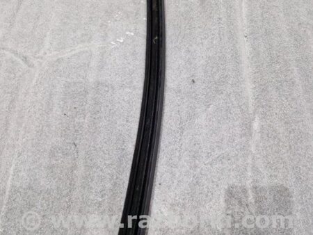 ФОТО Уплотнитель стекла двери для Audi (Ауди) A4 B8 - 8K2, 8K5 (08.2007-11.2015) Киев
