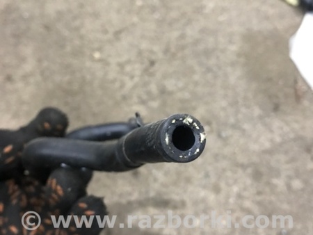 ФОТО Патрубок системы охлаждения для Audi (Ауди) A3 8V1, 8VA, 8V7, 8VS (03.2012-...) Киев