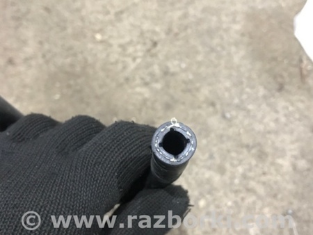 ФОТО Патрубок системы охлаждения для Audi (Ауди) A3 8V1, 8VA, 8V7, 8VS (03.2012-...) Киев