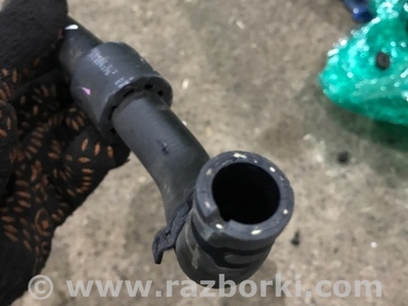ФОТО Патрубок системы охлаждения для Audi (Ауди) A3 8V1, 8VA, 8V7, 8VS (03.2012-...) Киев