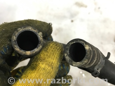 ФОТО Патрубок системы охлаждения для Audi (Ауди) A4 B8 - 8K2, 8K5 (08.2007-11.2015) Киев