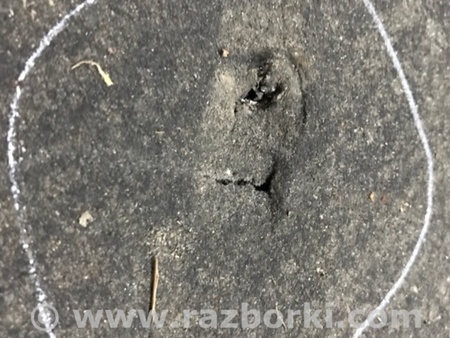 ФОТО Защита днища кузова для Audi (Ауди) A4 B8 - 8K2, 8K5 (08.2007-11.2015) Киев
