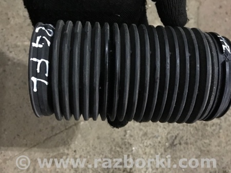 ФОТО Пыльник амортизатора для Audi (Ауди) A3 8V1, 8VA, 8V7, 8VS (03.2012-...) Киев
