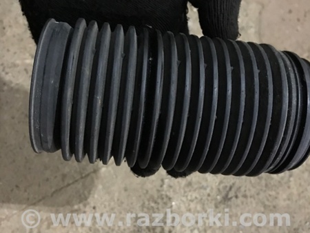 ФОТО Пыльник амортизатора для Audi (Ауди) A3 8V1, 8VA, 8V7, 8VS (03.2012-...) Киев