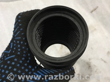 ФОТО Пыльник амортизатора для Audi (Ауди) A3 8V1, 8VA, 8V7, 8VS (03.2012-...) Киев