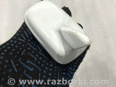 ФОТО Антенна для Audi (Ауди) A3 8V1, 8VA, 8V7, 8VS (03.2012-...) Киев