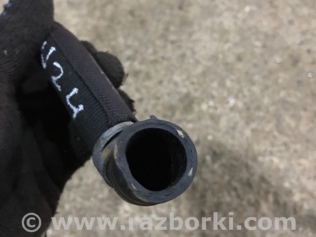 ФОТО Патрубок системы охлаждения для Audi (Ауди) A3 8V1, 8VA, 8V7, 8VS (03.2012-...) Киев