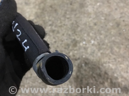 ФОТО Патрубок системы охлаждения для Audi (Ауди) A3 8V1, 8VA, 8V7, 8VS (03.2012-...) Киев