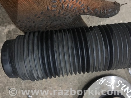 ФОТО Пыльник амортизатора для Porsche Cayenne Type 958 (10-18) Киев