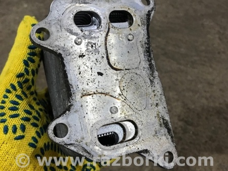 ФОТО Радиатор масляный для Audi (Ауди) A3 8V1, 8VA, 8V7, 8VS (03.2012-...) Киев
