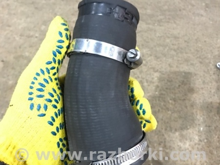ФОТО Патрубок интеркулера для Audi (Ауди) A3 8V1, 8VA, 8V7, 8VS (03.2012-...) Киев
