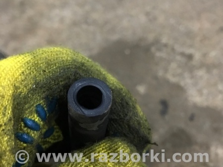 ФОТО Патрубок системы охлаждения для Audi (Ауди) A3 8V1, 8VA, 8V7, 8VS (03.2012-...) Киев