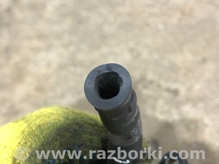 ФОТО Патрубок системы охлаждения для Audi (Ауди) A3 8V1, 8VA, 8V7, 8VS (03.2012-...) Киев